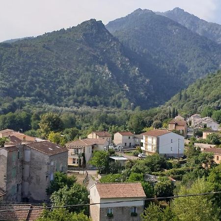 Appartement De Charme Vieille Ville Corte  Luaran gambar
